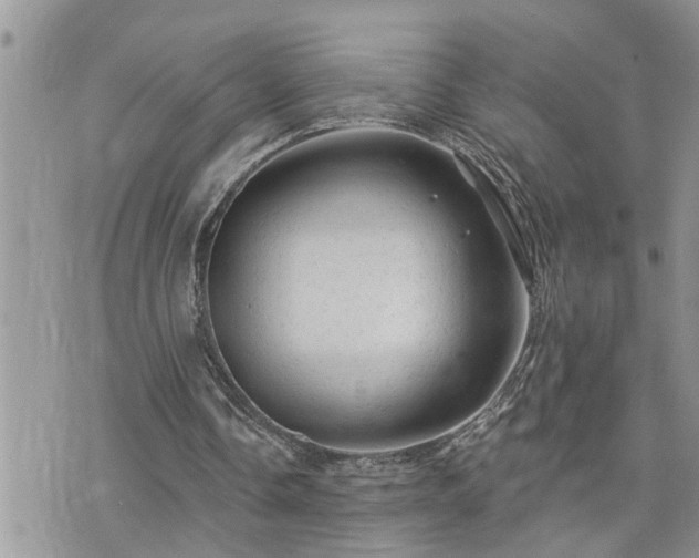 X0000076300338200609291041