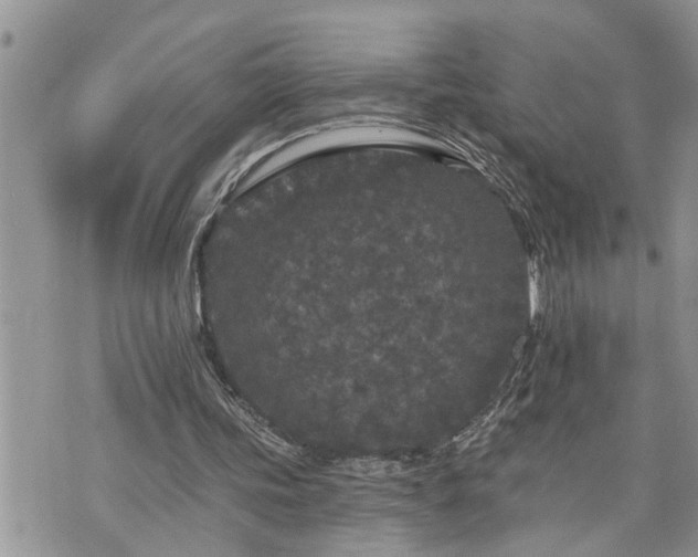 X0000076300339200609291041