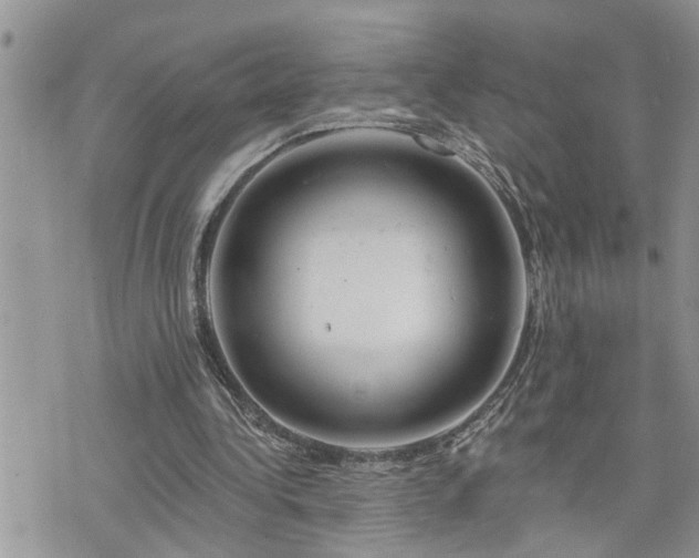 X0000076300340200609291041