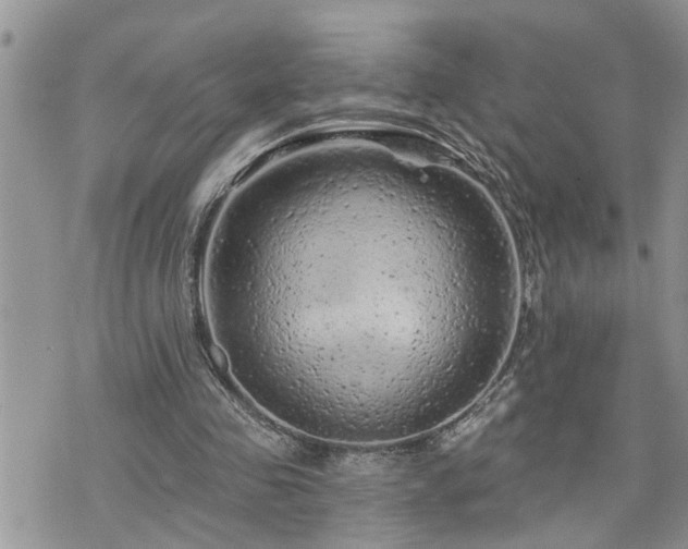 X0000076300341200609291041