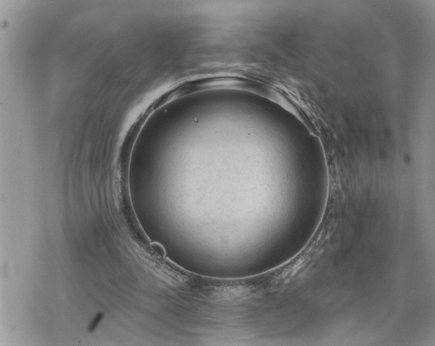 X0000076300342200609291041