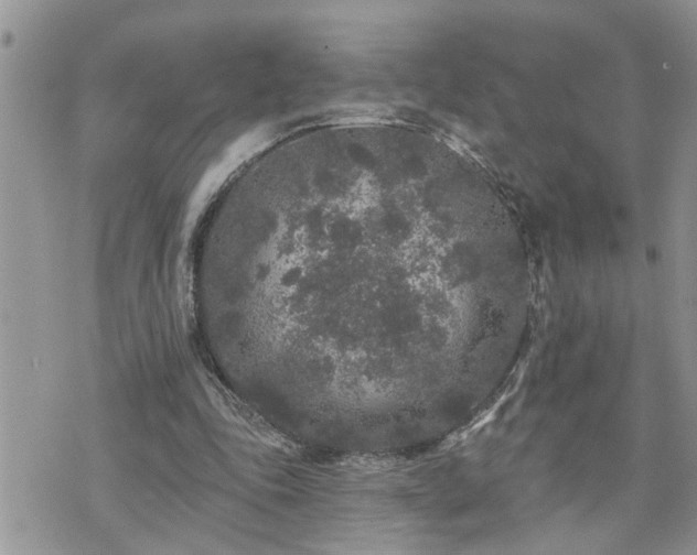 X0000076300343200609291041