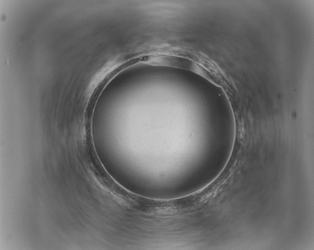 X0000076300344200609291041