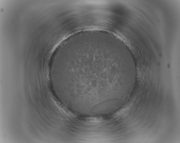 X0000076300347200609291041