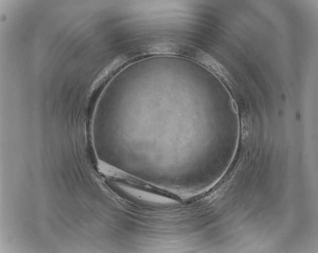 X0000076300349200609291041