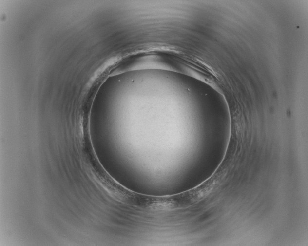 X0000076300350200609291041