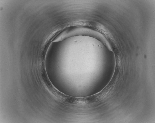 X0000076300352200609291041