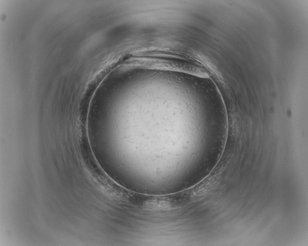 X0000076300354200609291041