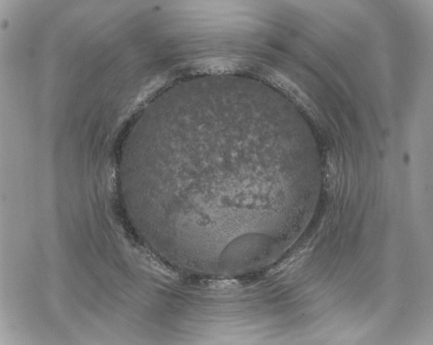 X0000076300355200609291041