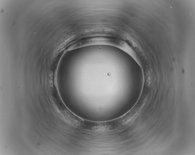 X0000076300356200609291041