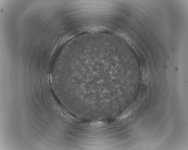 X0000076300357200609291041