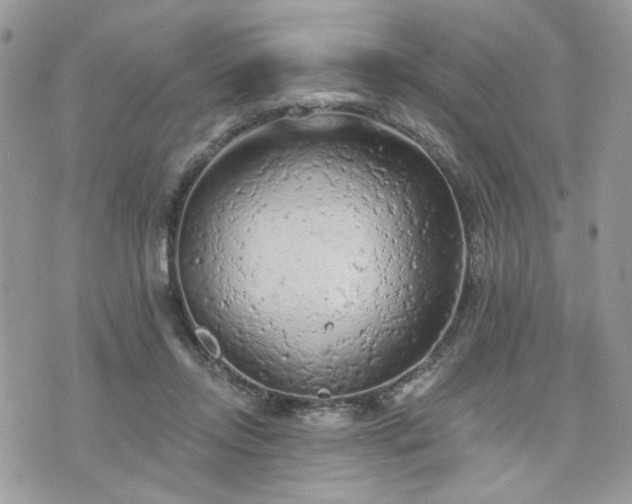 X0000076300358200609291041