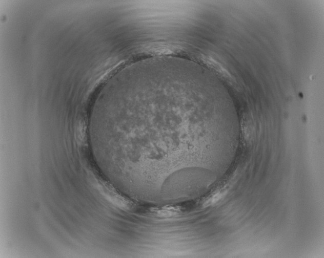 X0000076300359200609291041