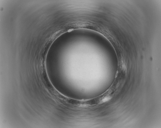 X0000076300360200609291041