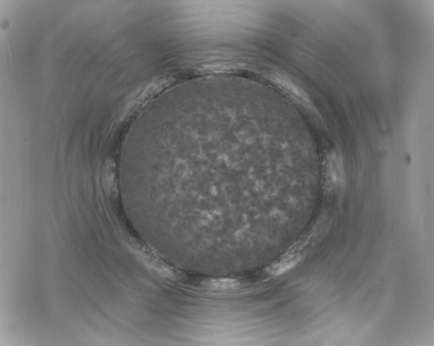 X0000076300361200609291041