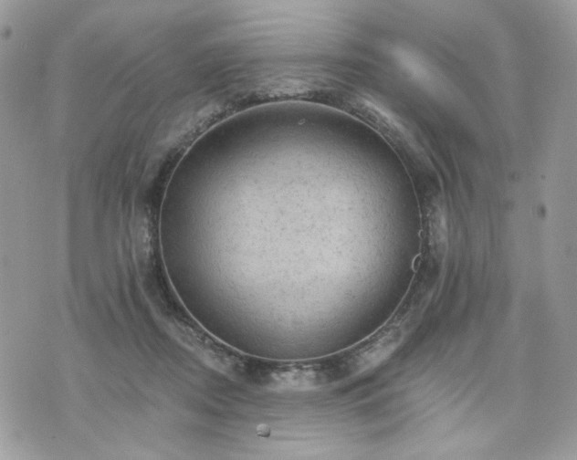 X0000076300362200609291041