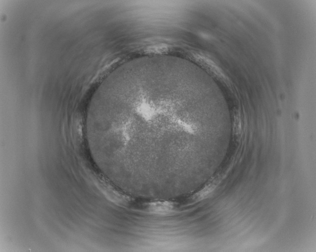 X0000076300363200609291041