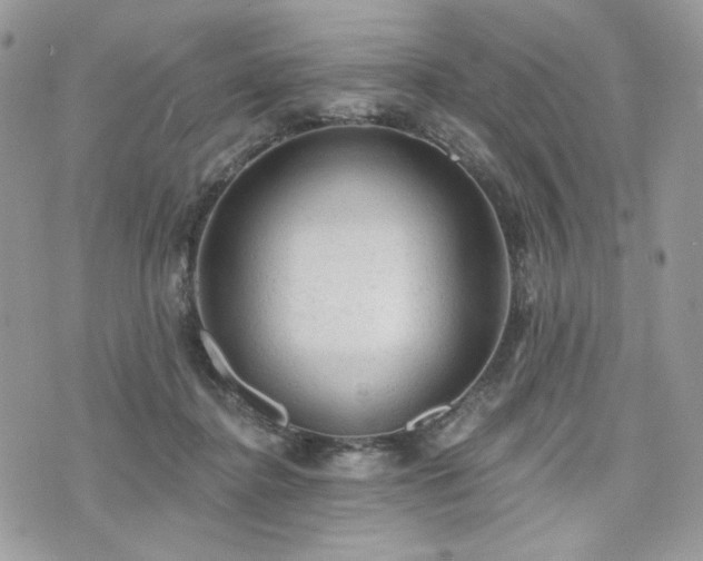 X0000076300364200609291041