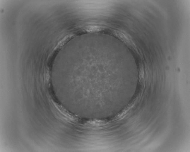 X0000076300367200609291041