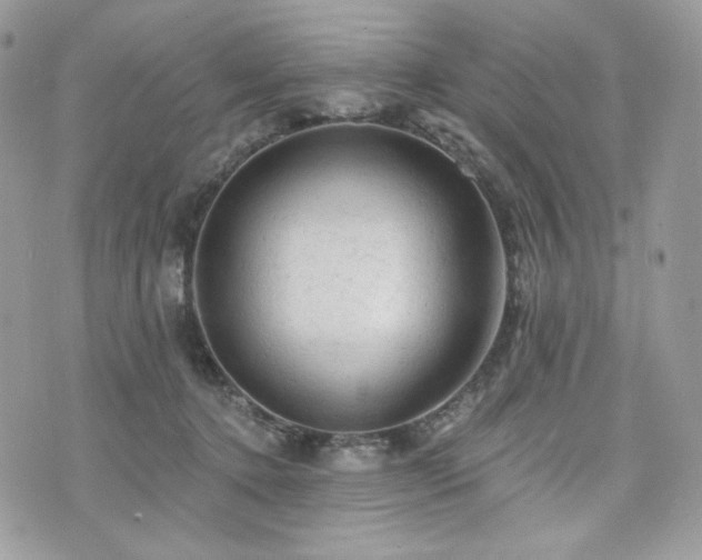 X0000076300368200609291041