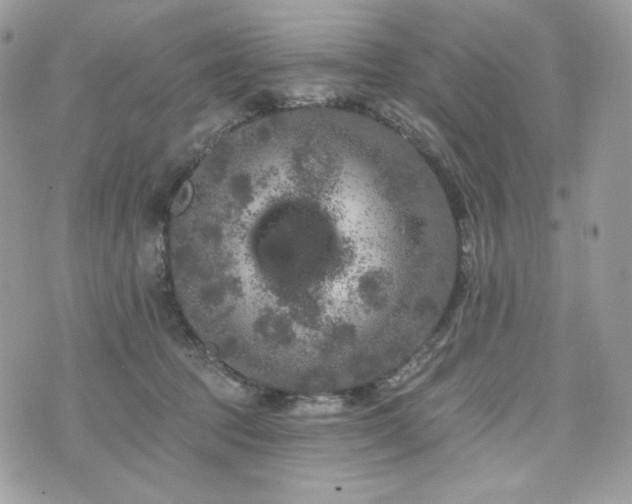 X0000076300369200609291041