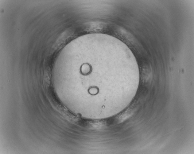 X0000076300370200609291042