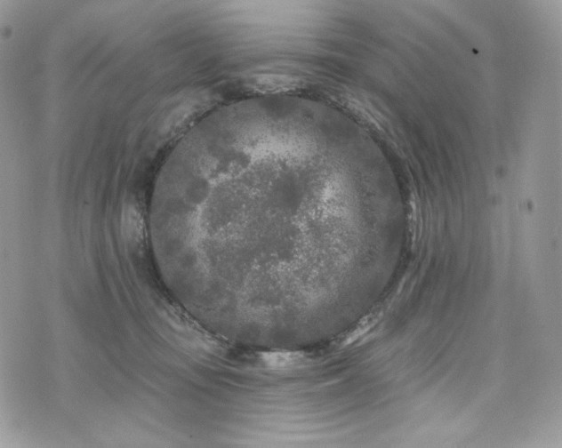 X0000076300371200609291042