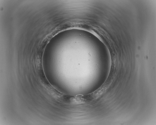 X0000076300372200609291042