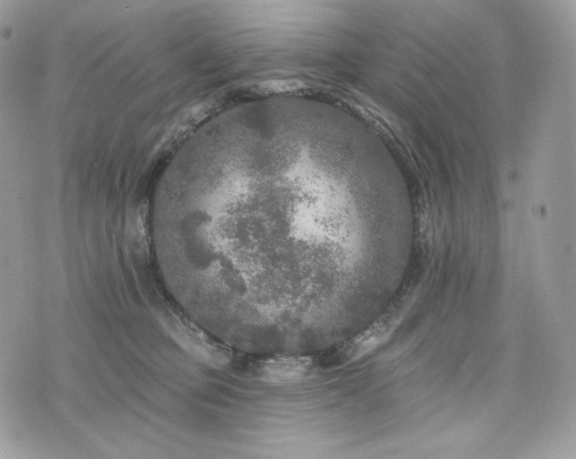 X0000076300373200609291042