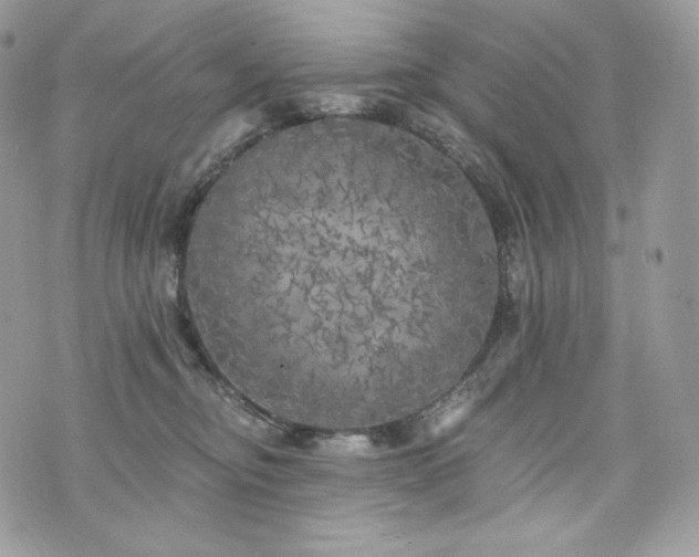 X0000076300374200609291042