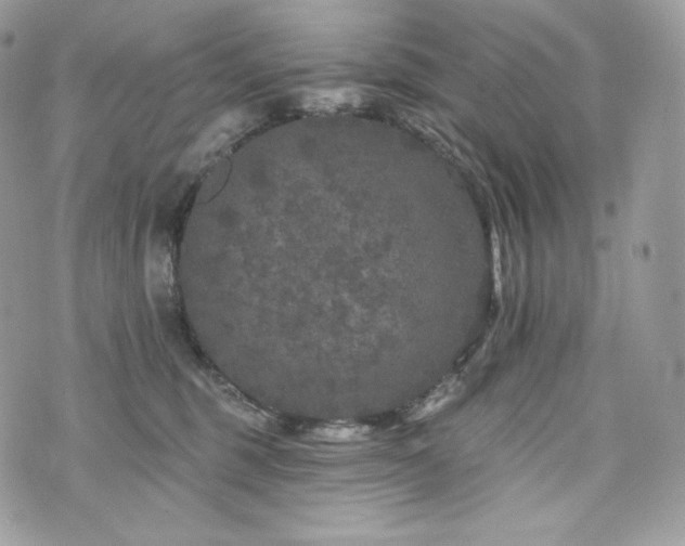 X0000076300375200609291042