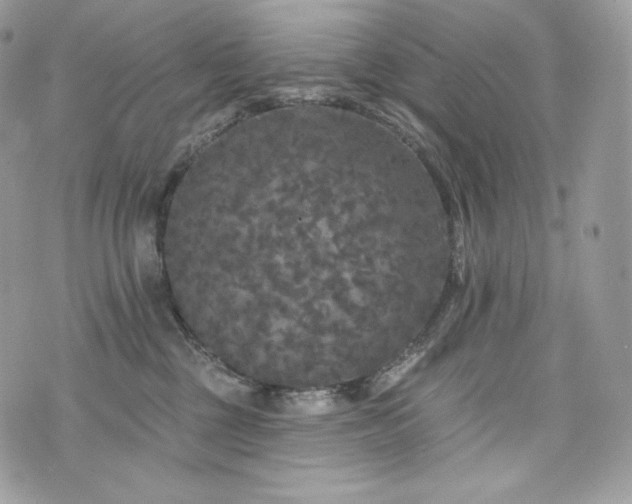 X0000076300377200609291042