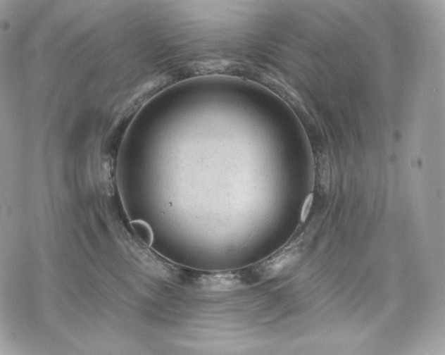 X0000076300378200609291042