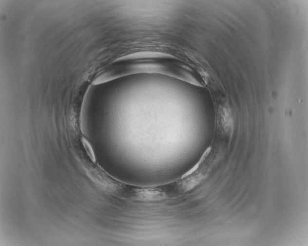 X0000076300380200609291042