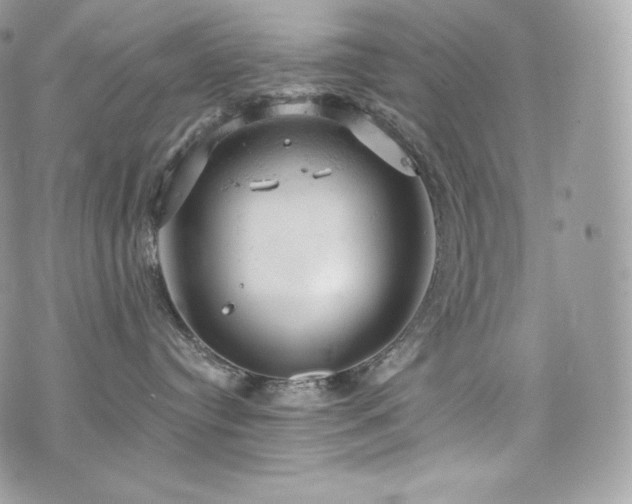 X0000076300384200609291042