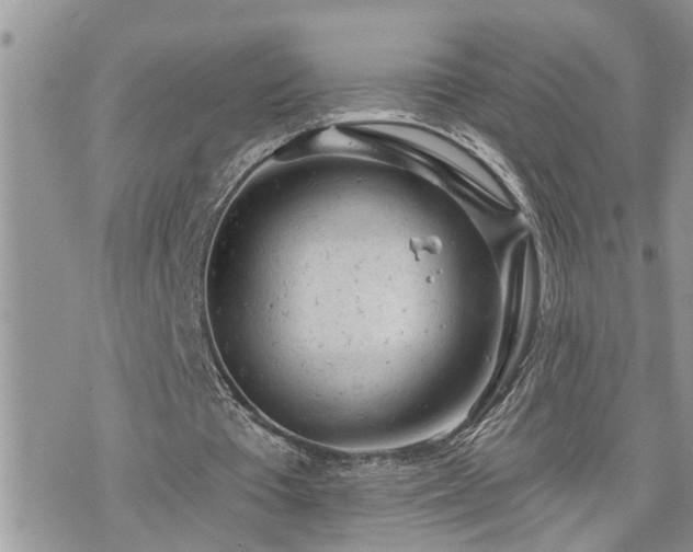 X0000076300385200609291041