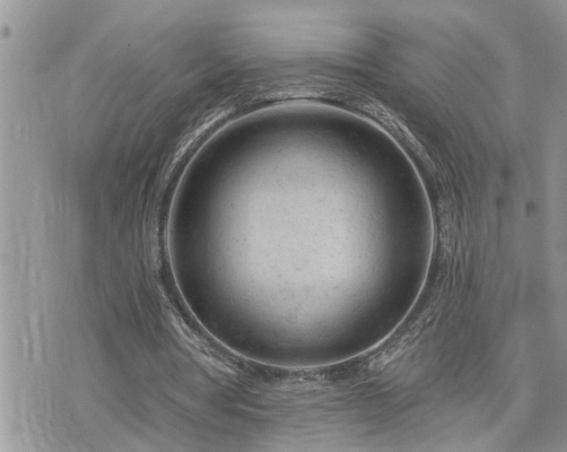 X0000076300386200609291041