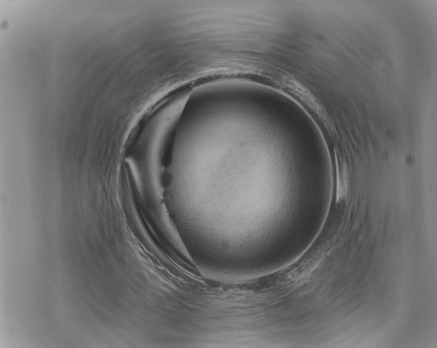 X0000076300387200609291041