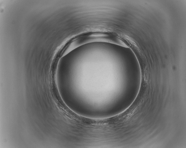 X0000076300388200609291041