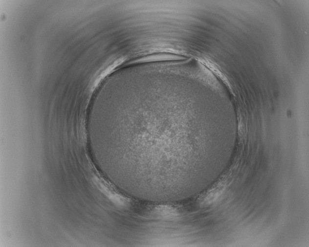 X0000076300390200609291041