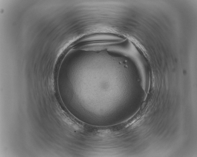 X0000076300391200609291041