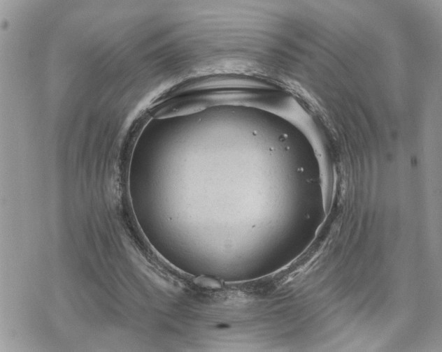 X0000076300392200609291041