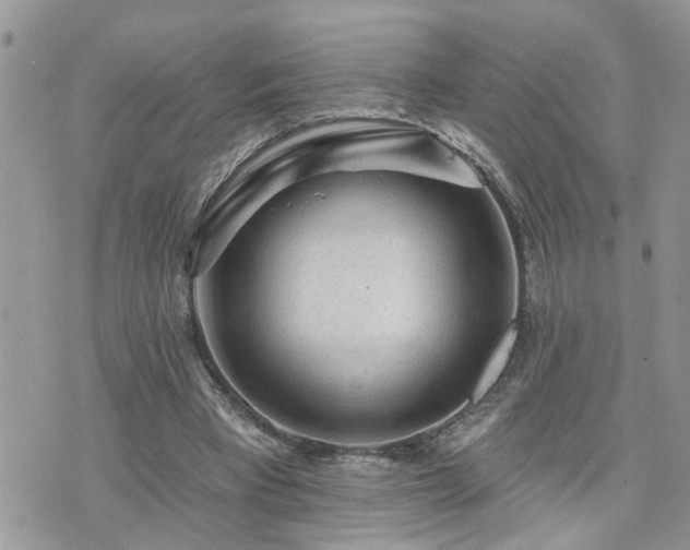 X0000076300393200609291041