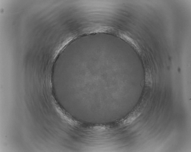 X0000076300394200609291041