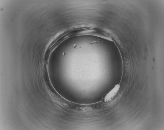 X0000076300395200609291041