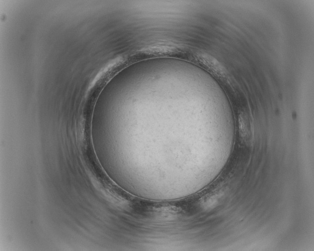 X0000076300396200609291041