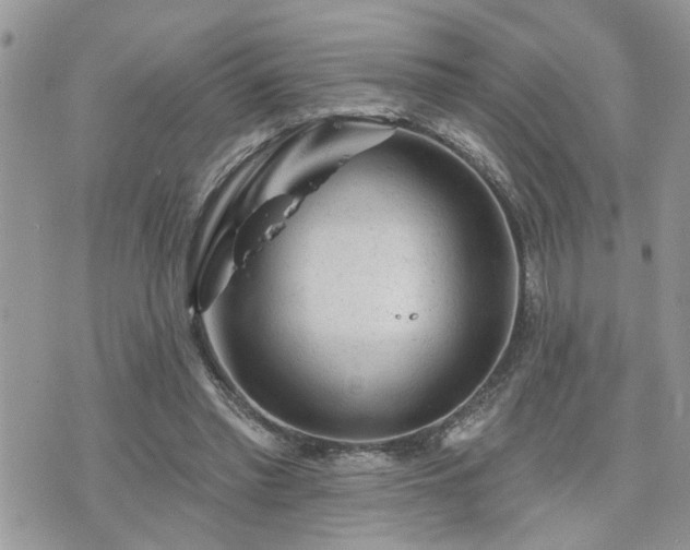 X0000076300397200609291041