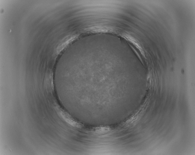 X0000076300398200609291041