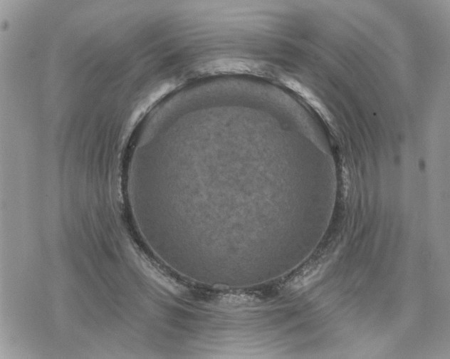 X0000076300399200609291041