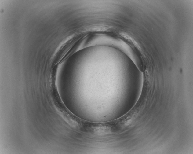 X0000076300400200609291041